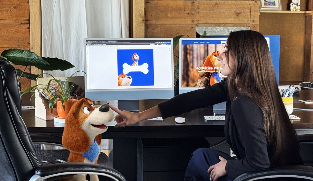 The Experts in Bozeman Online