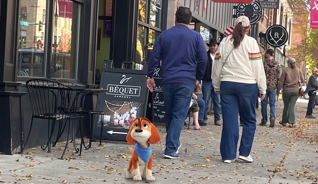 Bozeman Branding that Moves Customers