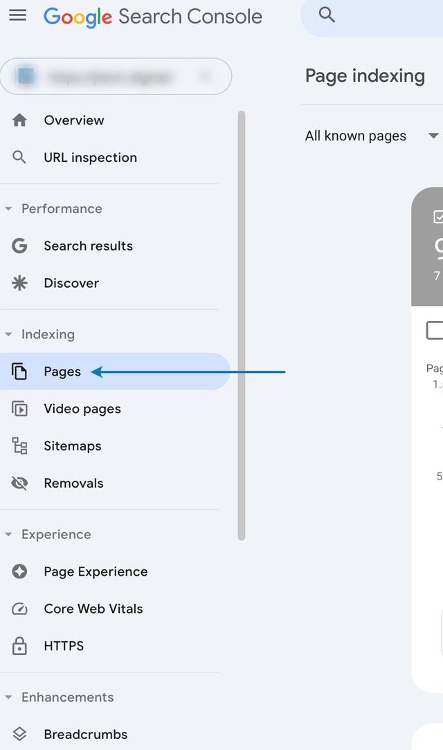 You Can Find Your Web Page Indexing Status in the Left Hand Sidebar.