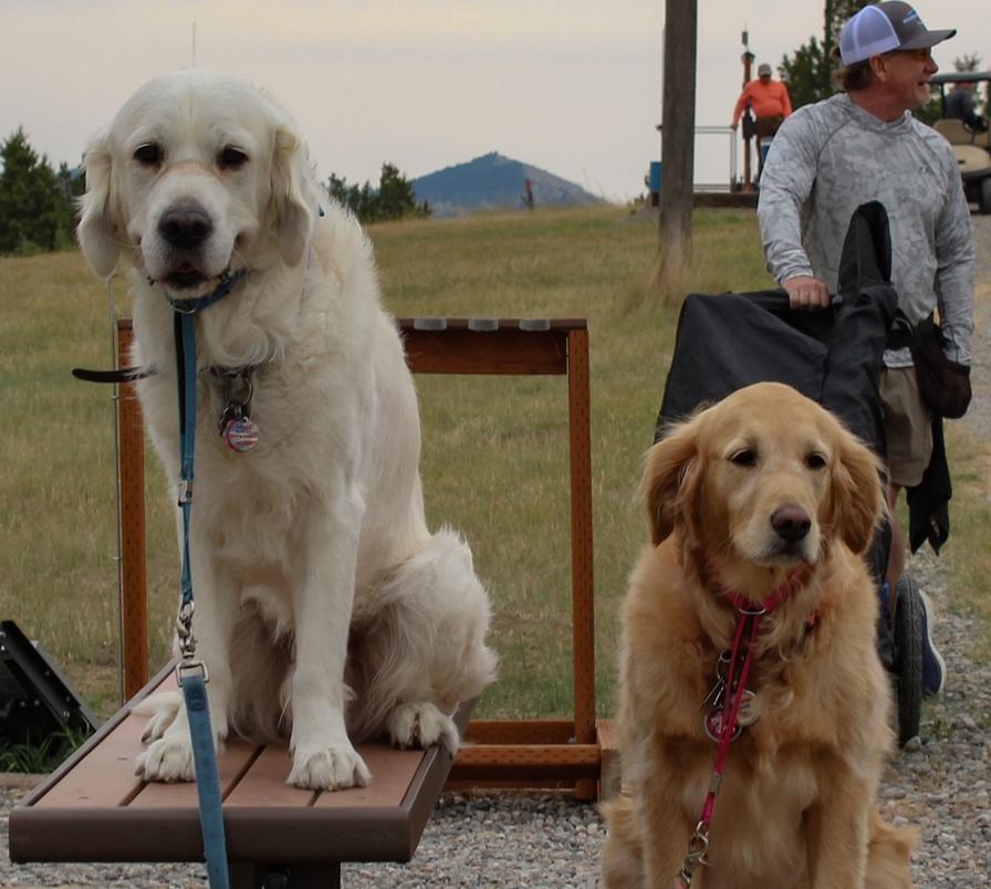 Dogs at Gallatin Sporting Clays