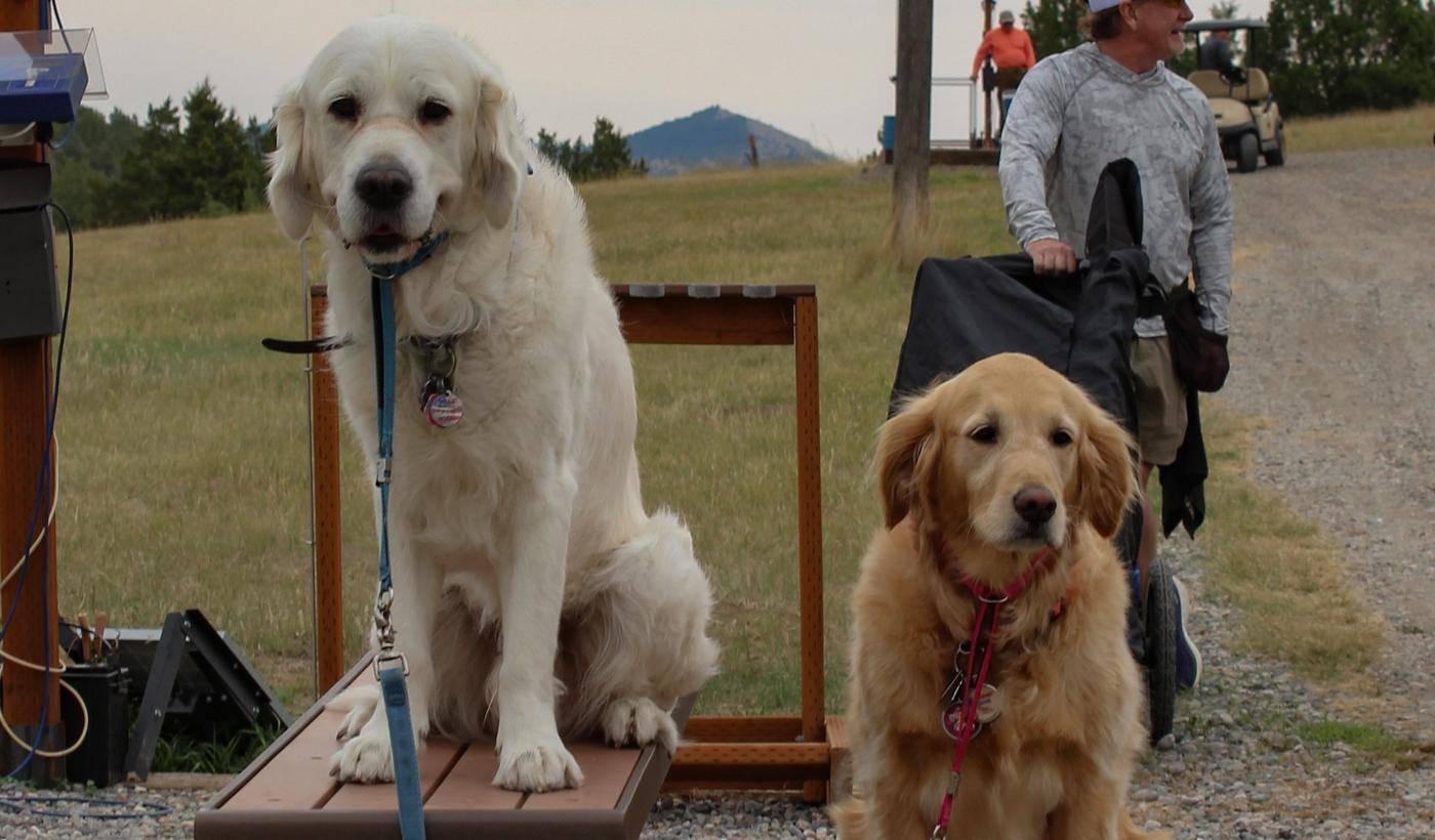 Dogs at Gallatin Sporting Clays