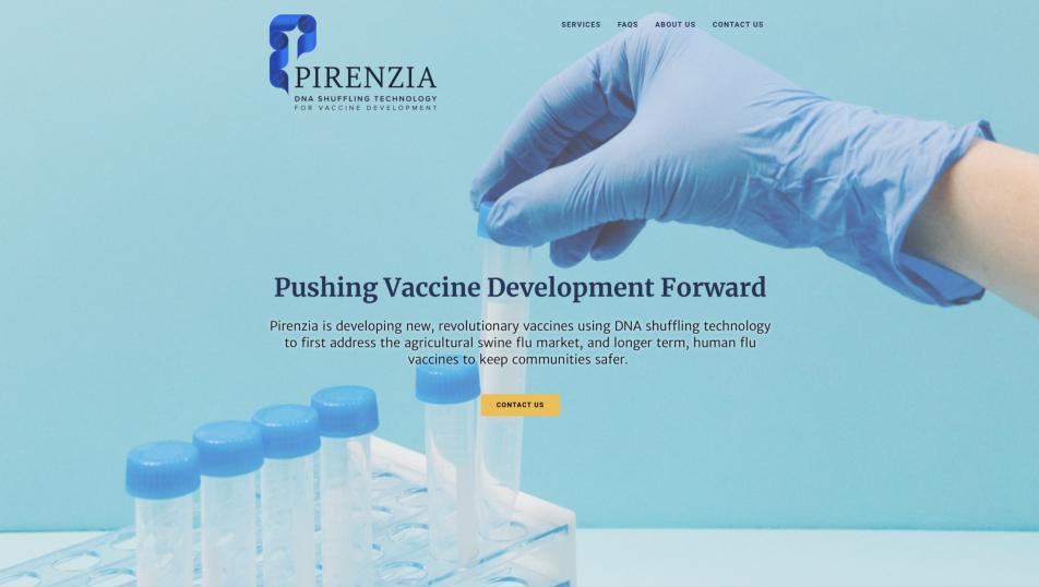 Pirenzia screen shot