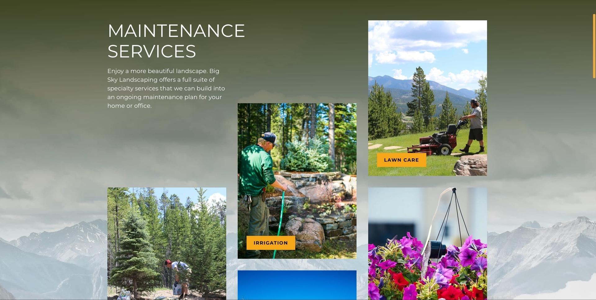 The BSL Services page