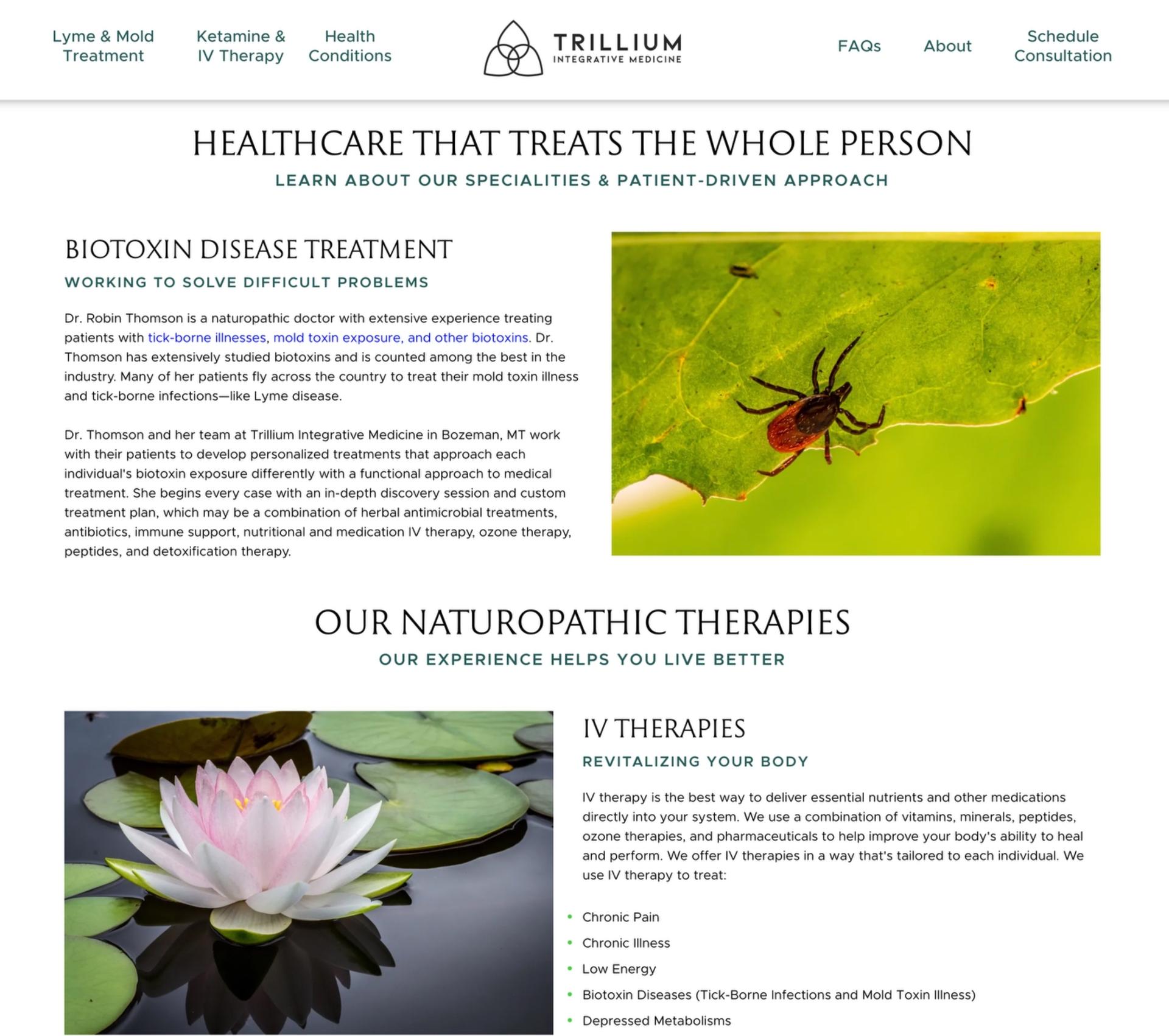 Trillium Homepage