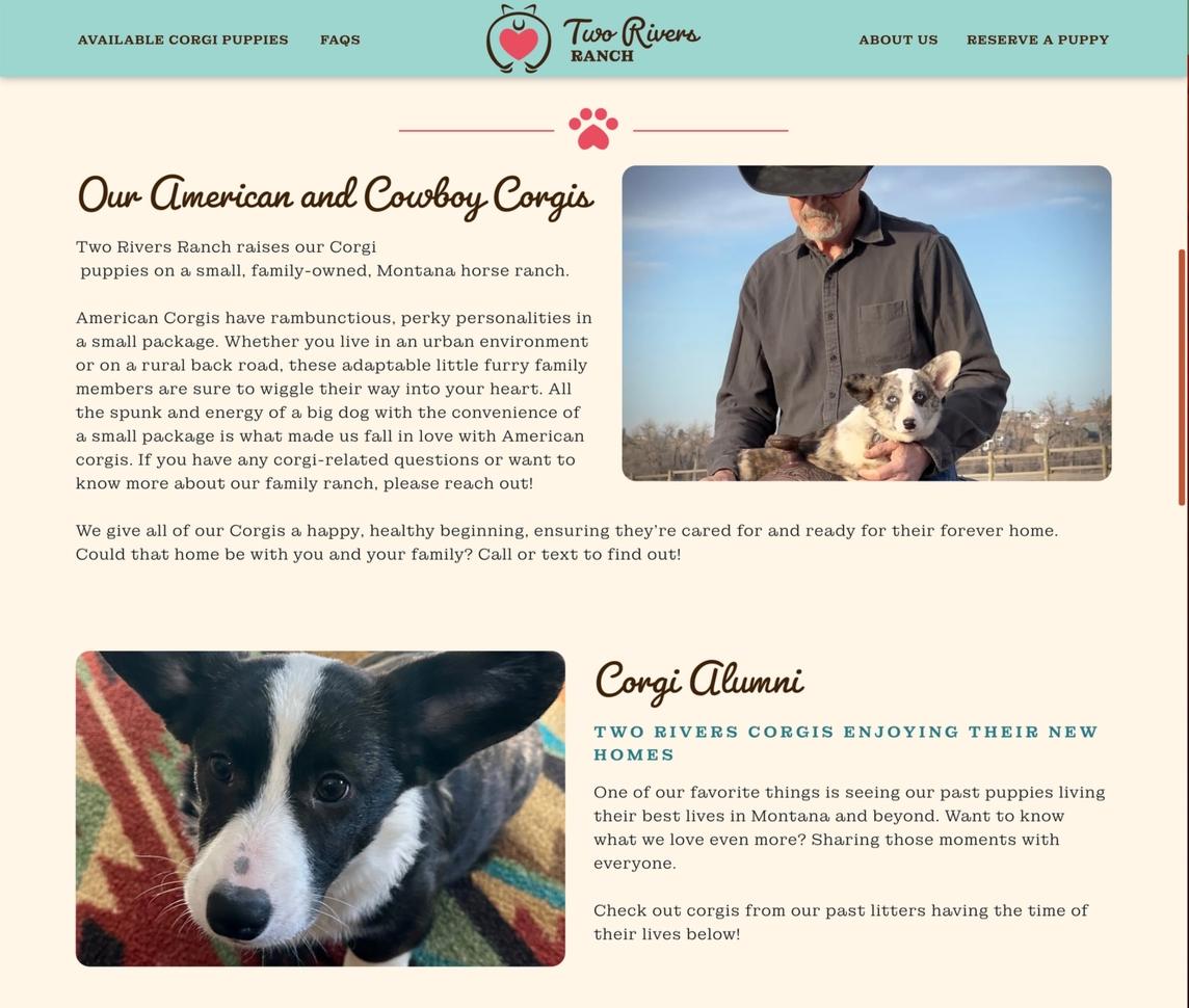 About the Corgis
