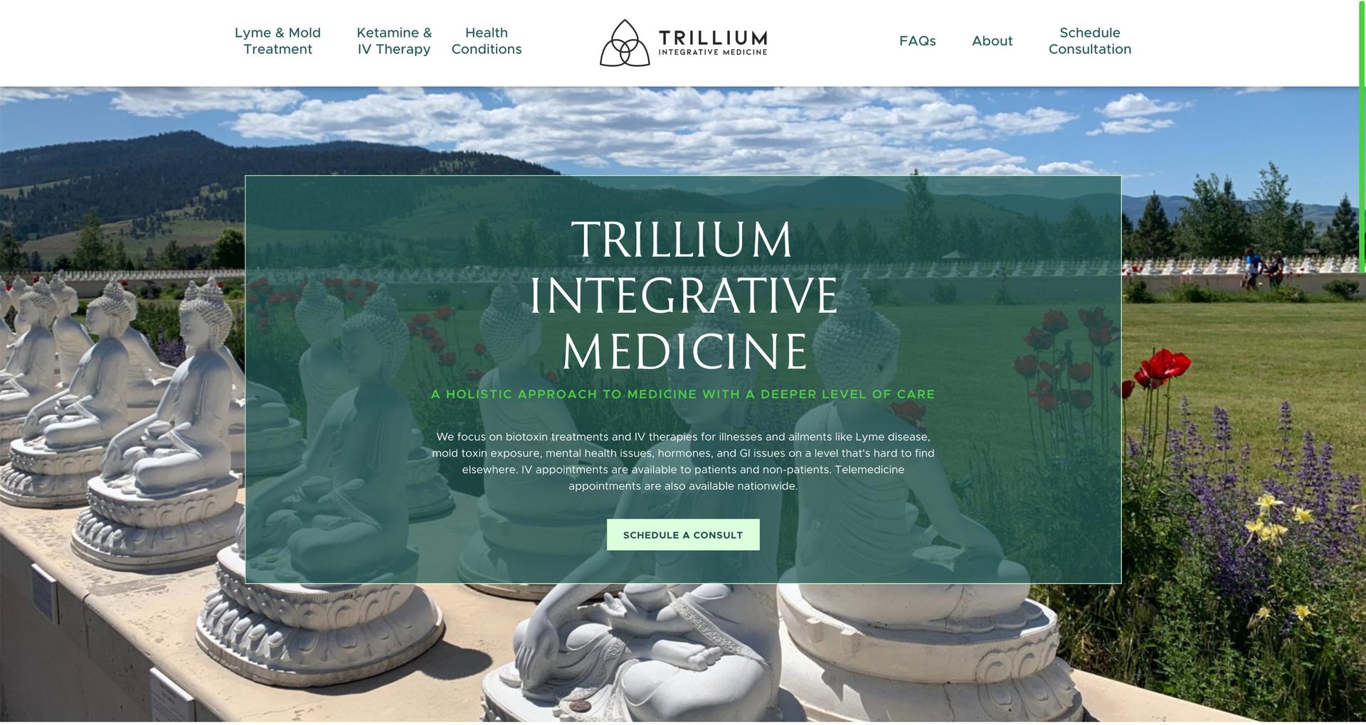 SEO for Trillium Integrative Medicine screen shot