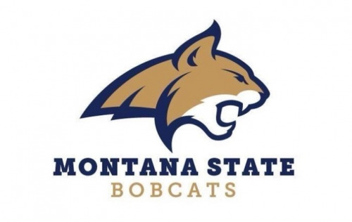 MSU Bobcats MSU Bobcats